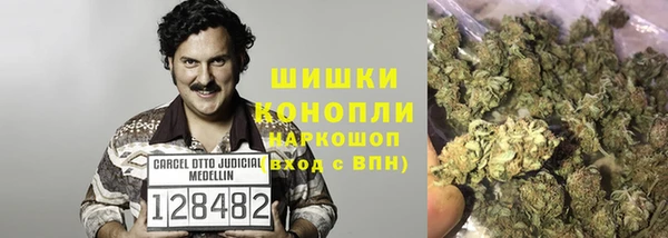 меф Дмитриев