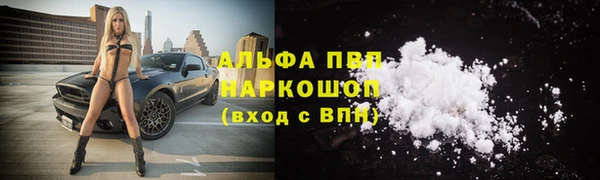 хмурый Гусь-Хрустальный