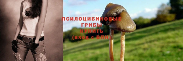 хмурый Гусь-Хрустальный