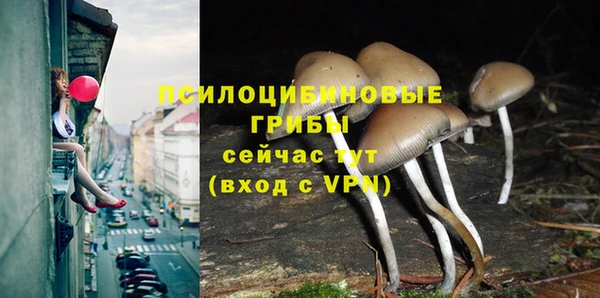 хмурый Гусь-Хрустальный
