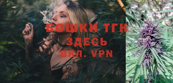 хмурый Гусь-Хрустальный