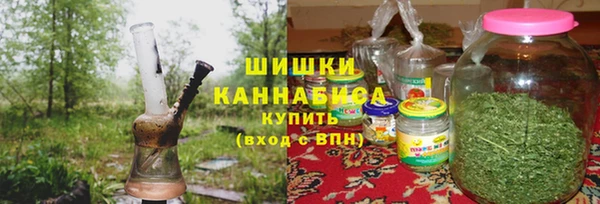 ешки Гусев