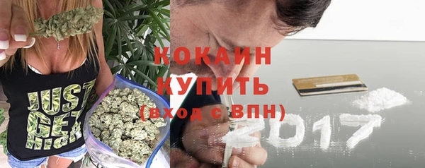 хмурый Гусь-Хрустальный
