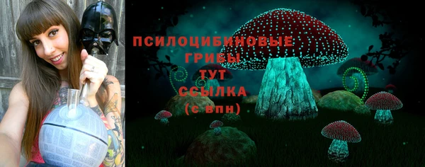 ешки Гусев
