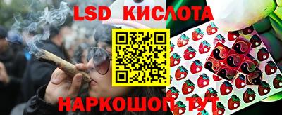 прущая мука Гатчина