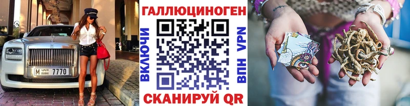 Псилоцибиновые грибы Psilocybe  сколько стоит  Заволжье 