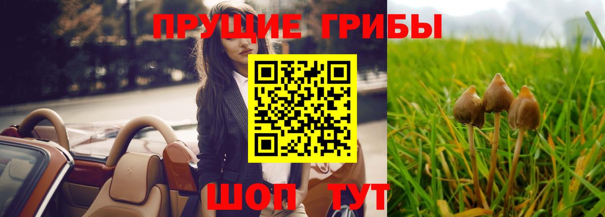 Заволжье  как найти закладки  Вход с VPN  Галлюциногенные грибы Magic Shrooms 