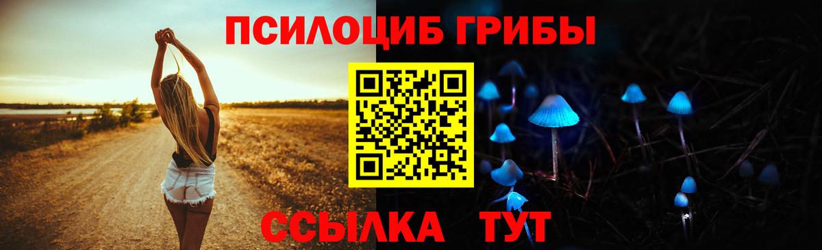 Галлюциногенные грибы мицелий Заволжье