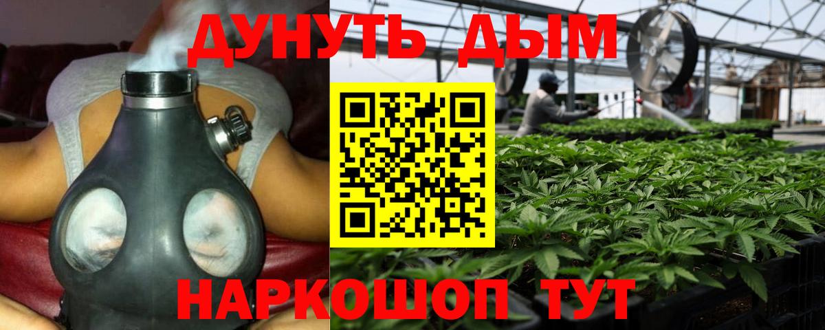 Бошки марихуана сатива Заволжье