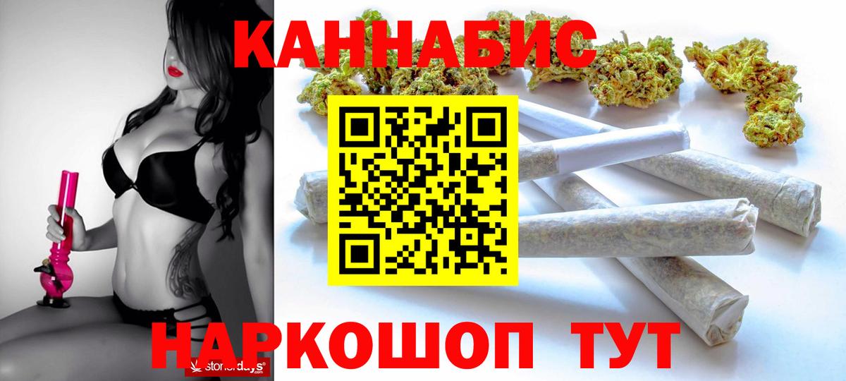 Канабис конопля  Конопля White Widow  Заволжье  Конопля индика  Конопля планчик 